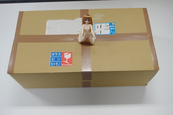 ララドールの開梱！略してラッコ（違