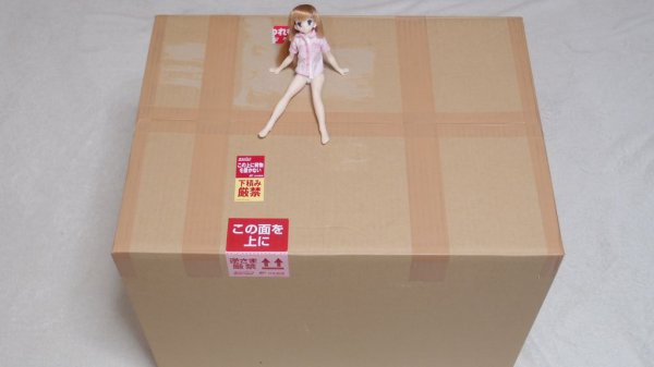 リップロップの布製ラブドール01