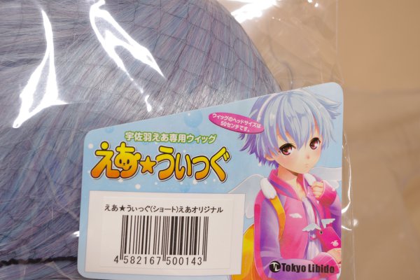 空気少女 宇佐羽えあ