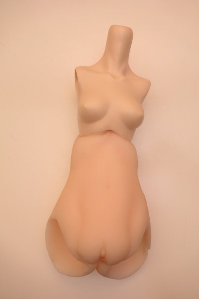 dollho