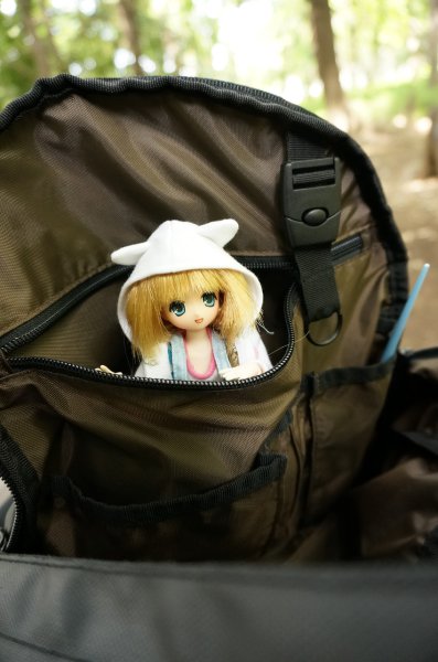 ころん