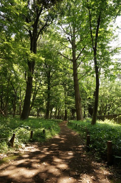 公園