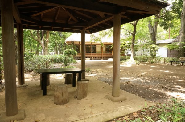 公園