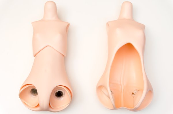 Libidollのdollho対応ボディ