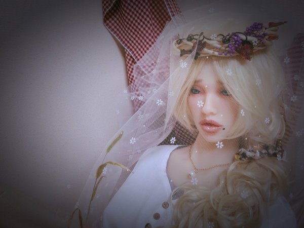 館主マルゴさんちの4woods CC Body ソニアヘッド