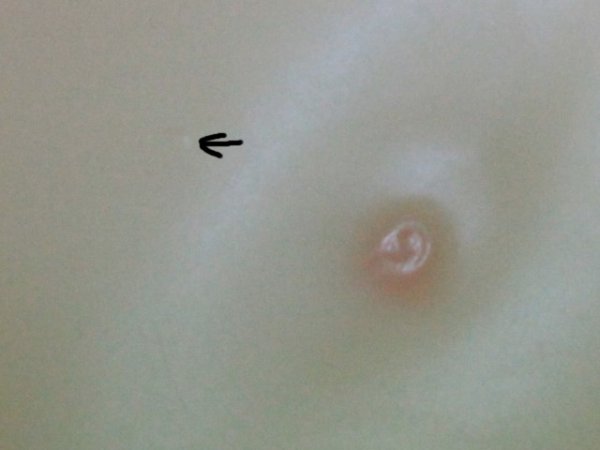 20160520_arte132_bom_09.jpg