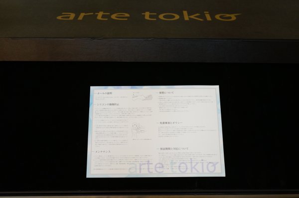 DS100miniの梱包箱