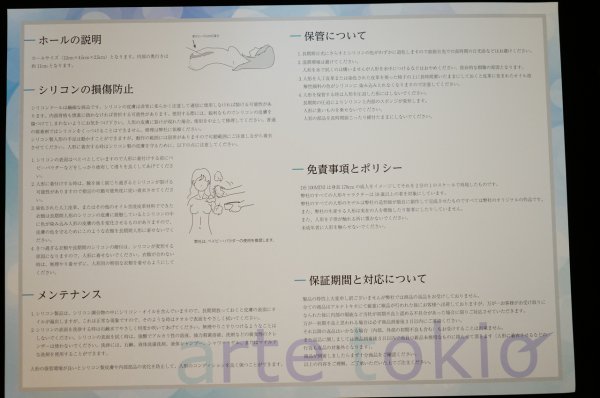 DS100miniの梱包箱