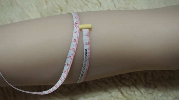 20161122_hoyo_8-4.jpg