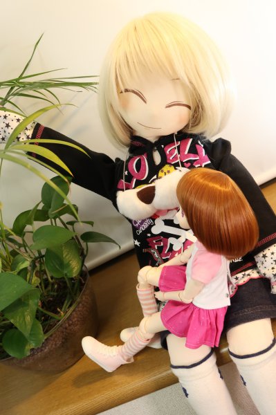 20170212_komomo_01.jpg