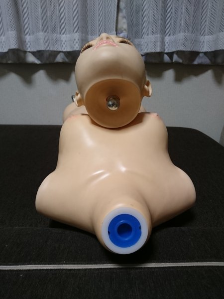 20170422_shibaridaisuki_04.jpg
