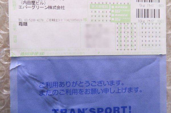 20180420_egdoll_01.jpg