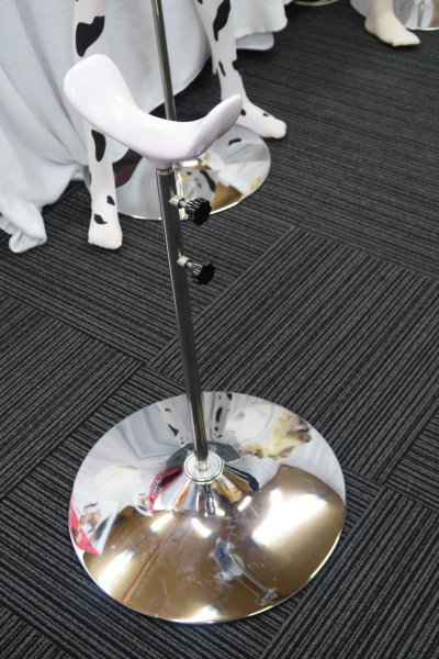 ももいろプリンセスのスタンド