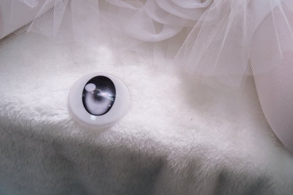 ももいろプリンセス