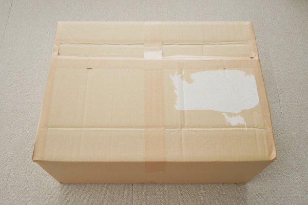 番石榴模型のPVC製アニメヘッドの箱