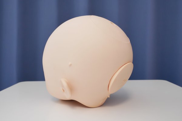 アニメヘッド斜め後ろ