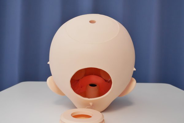 後頭部の蓋はキャップ式に